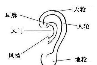 大耳 面相|从耳朵看面相｜5点耳朵形状及特征，一窥性格与运